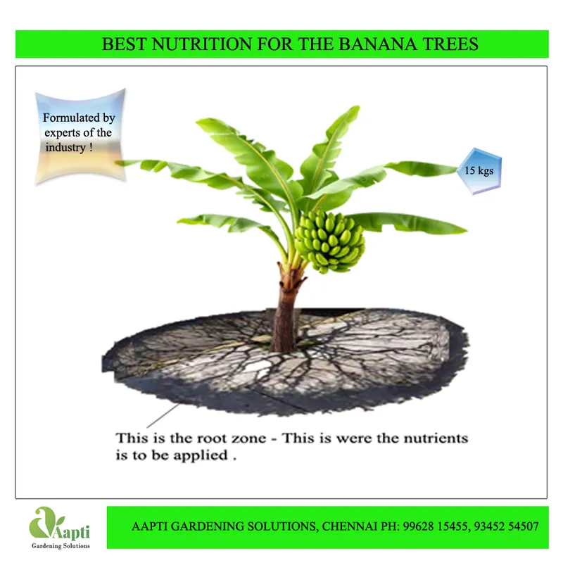 Best Nutrient Feed for Banana Trees- Kit- 15kgs